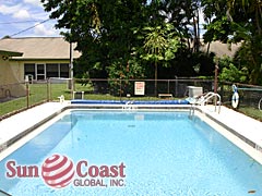 Palm Tree Community Pool